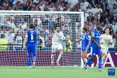 欧冠双冠王传奇球员：金球奖评选中的遗憾与辉煌